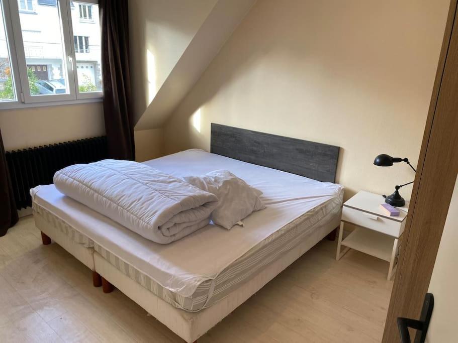 Appartement Spacieux 2 Chambres Кемпер Экстерьер фото